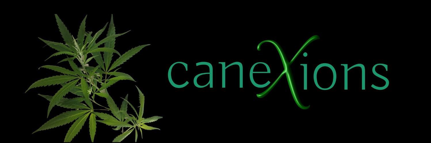 CaneXions's profile banner image