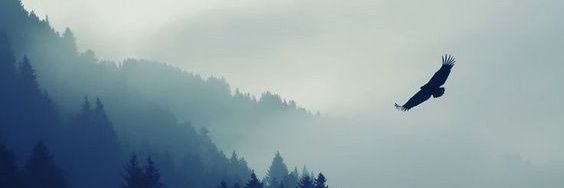 Miss4Me_'s profile banner image