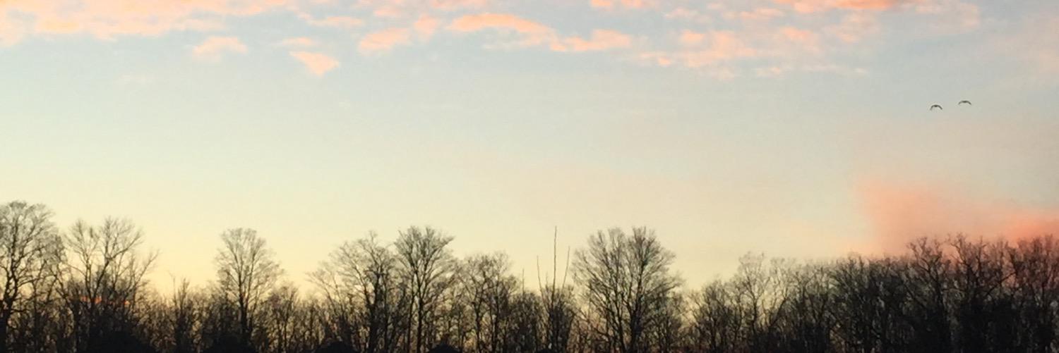 matt_campbell's profile banner image