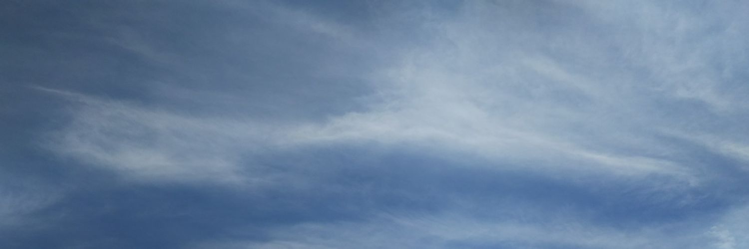 tsukapsychiart's profile banner image