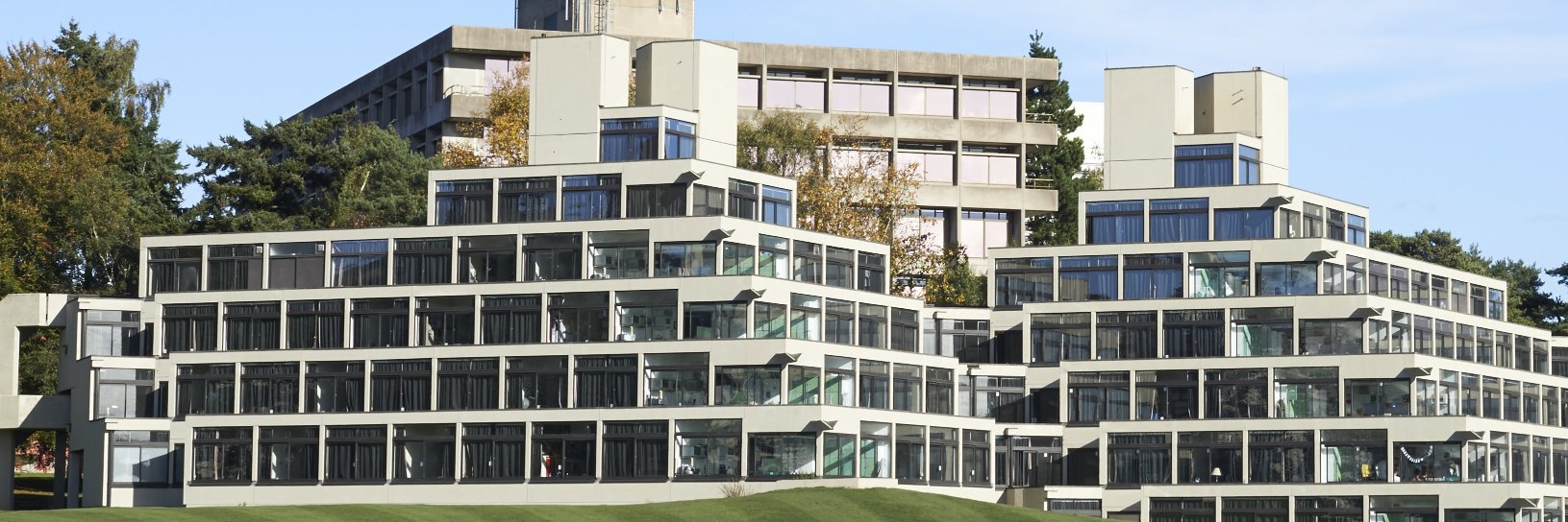 BarbaraJennings (she/her) banner