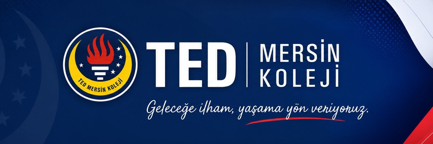 tedmersinkolej's profile banner image
