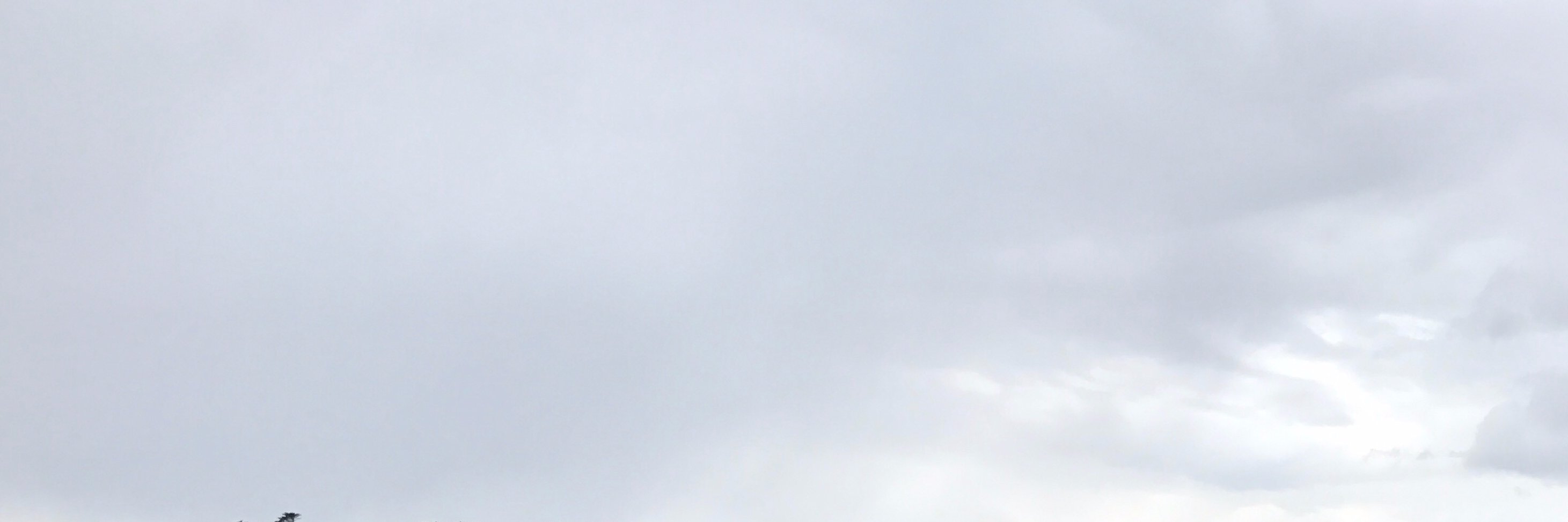 Lorrain Sénéchal banner