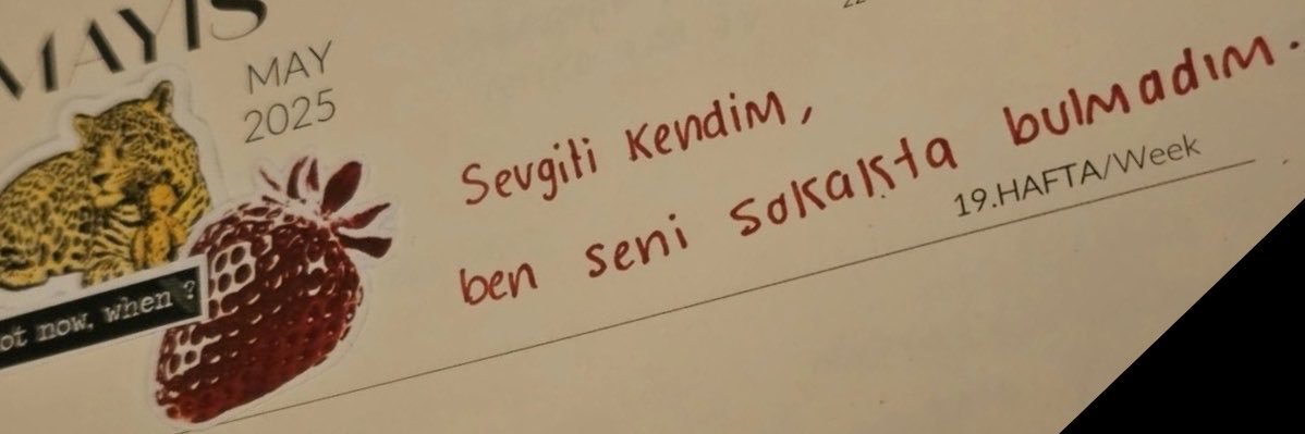 selenay286's profile banner image