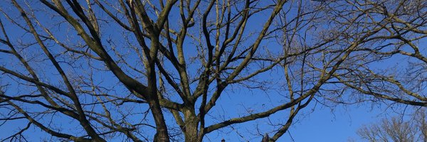LuciaAltucci Profile Banner