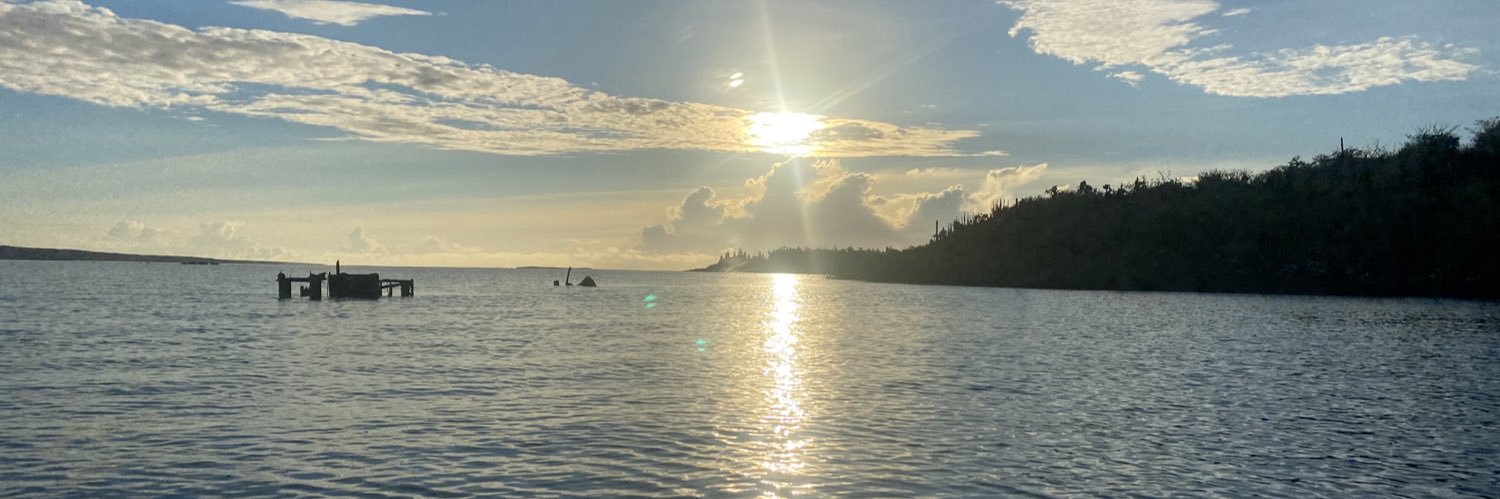 pgbuitron's profile banner image