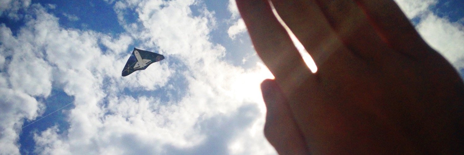 Steve McFarland banner