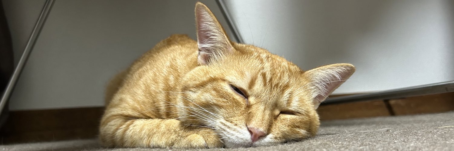 未咲(みさ) banner