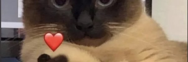 firaadjani's profile banner image