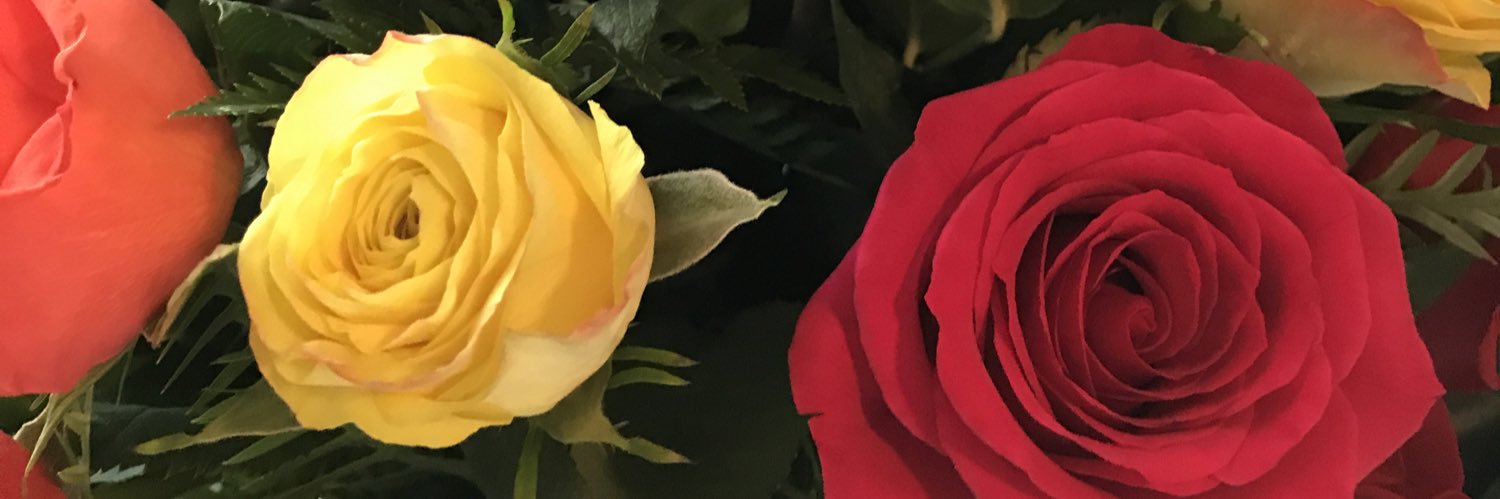 momrunningcrazy's profile banner image