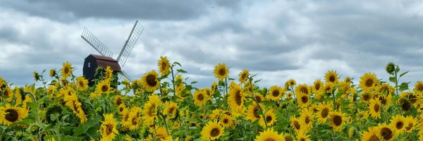 kayle10 Profile Banner