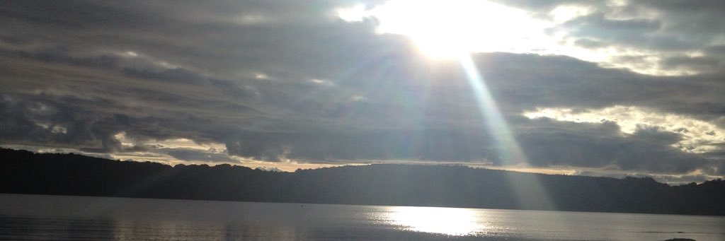 thomson_alison's profile banner image