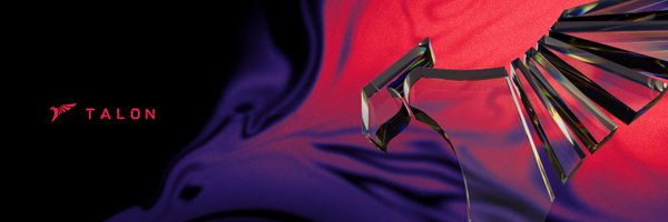 TALON_ESPORTS Profile Banner