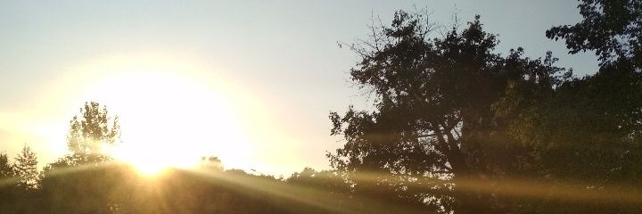 Yo, yo misma...Irene banner