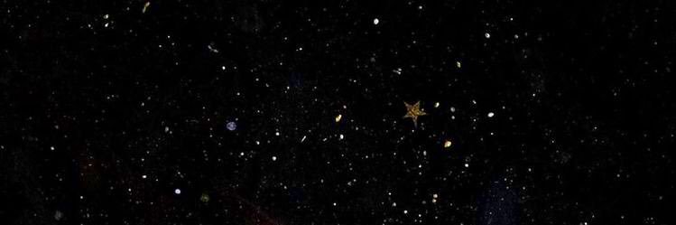 iAmMeteora_'s profile banner image
