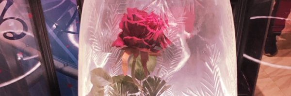 mymtsynr Profile Banner