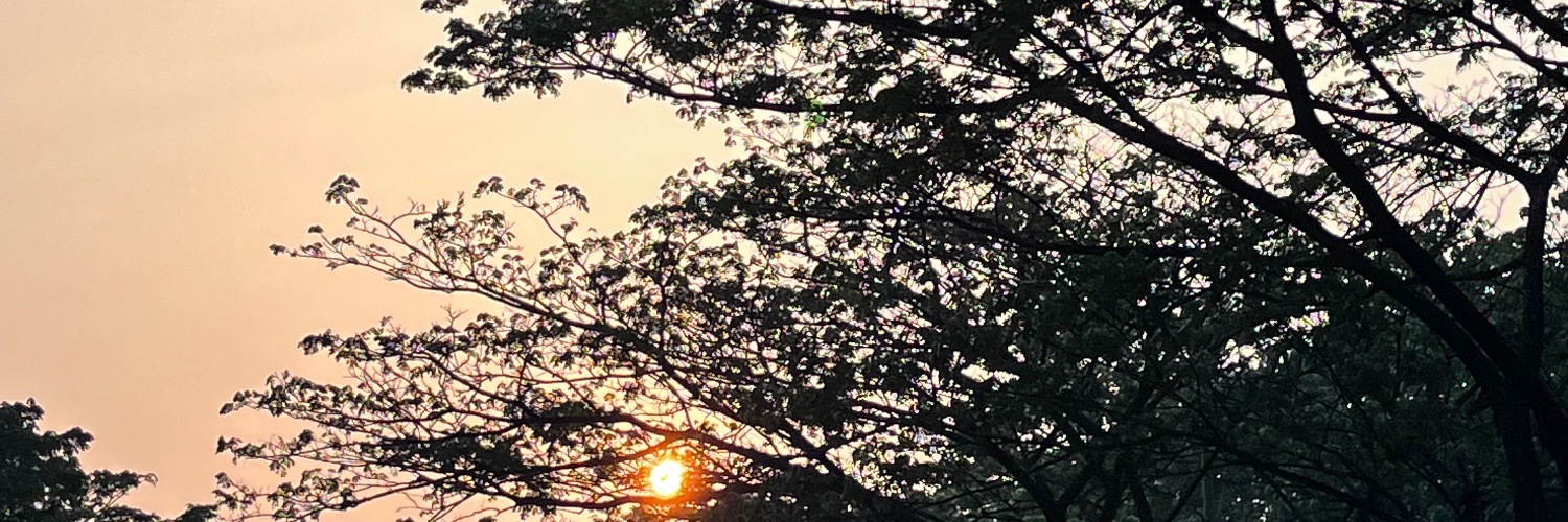 nabilyaawn's profile banner image