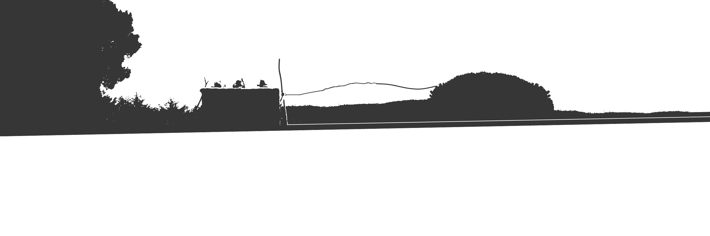 Rui Constantino banner