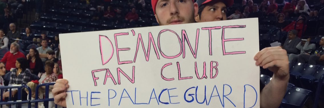 ThePalaceGuard's profile banner image