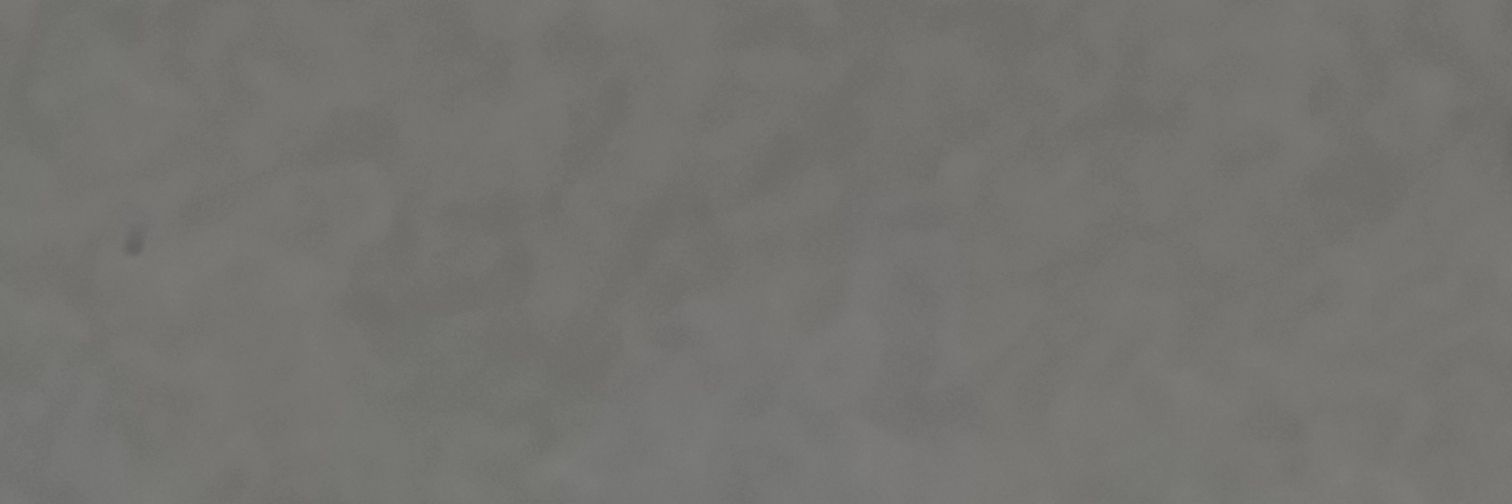 palmamoz's profile banner image