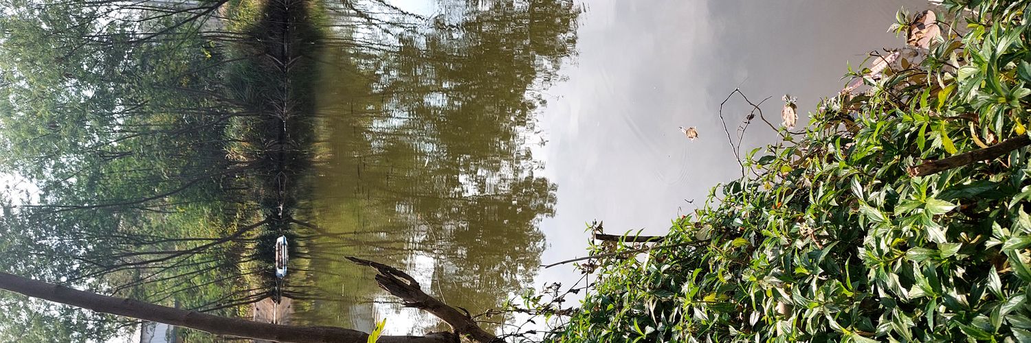 thanapont's profile banner image