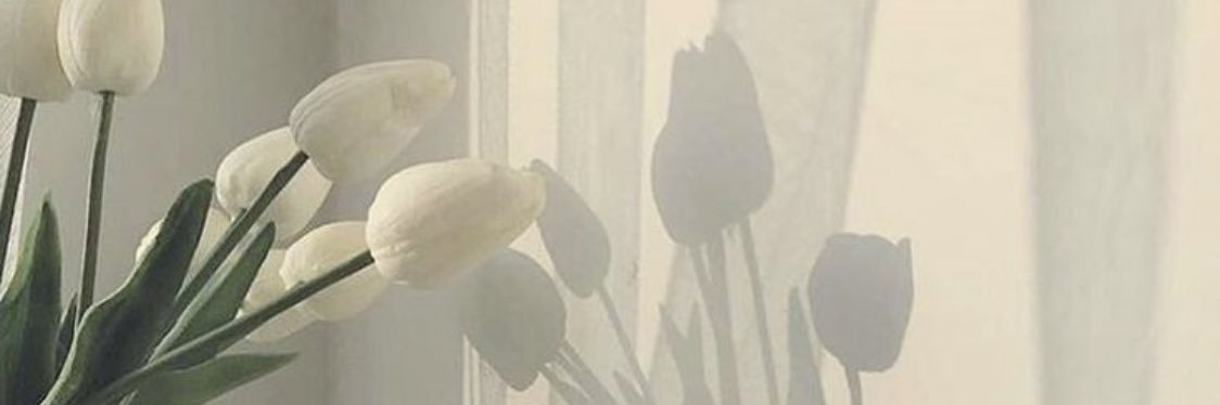 طَيُّوفه ❀ banner