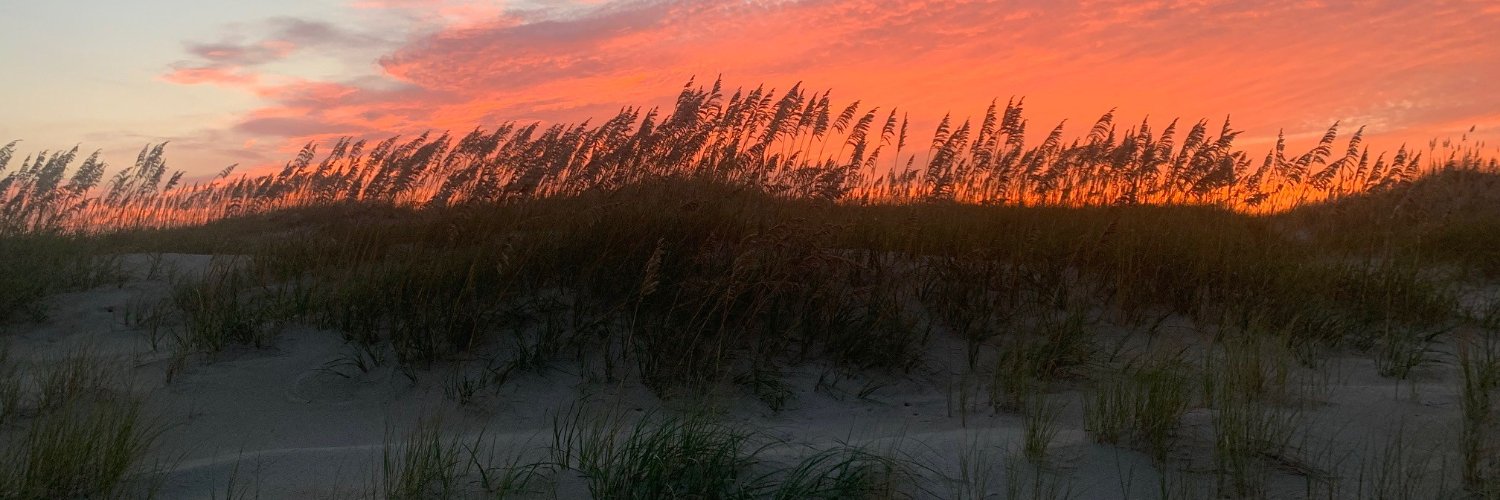 Gregg Schmidt banner