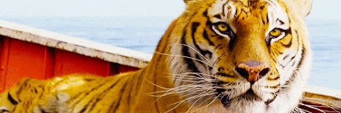 Anjali🇮🇳 (Modi ji ka Pariwaar) banner