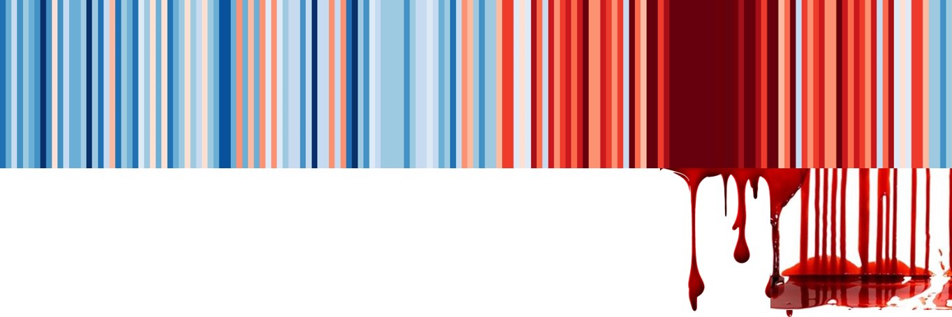 Enzo Valenzetti banner