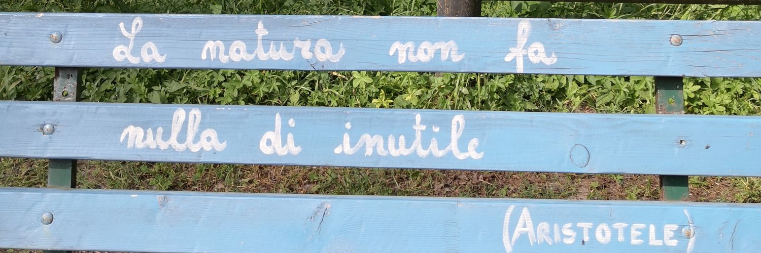 Simona Salvi banner