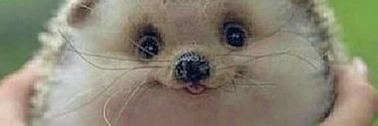 💙برونكا banner