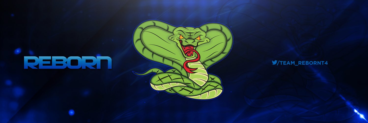 Team_RebornT4's profile banner image