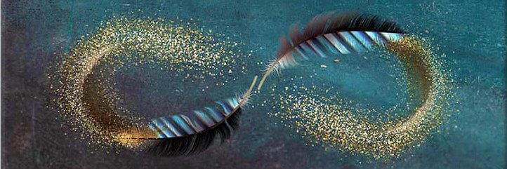 VelvetThorns_ banner