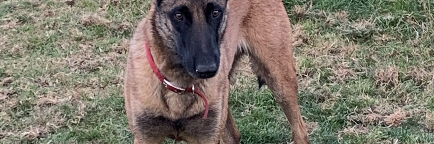 micky 🇮🇪🇬🇧 banner