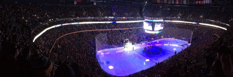 Did The Sabres Win? banner