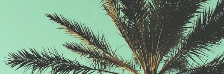 seanglvnt's profile banner image