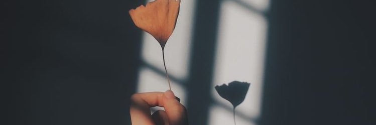 aartikaaa's profile banner image