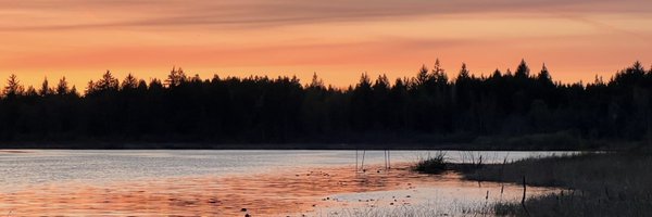 fodoist Profile Banner