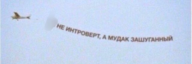 медведь-институтка banner