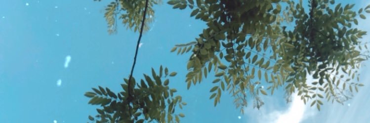Iree💫 banner