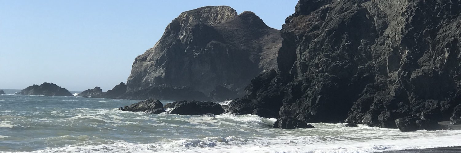 Sensible Smitty banner