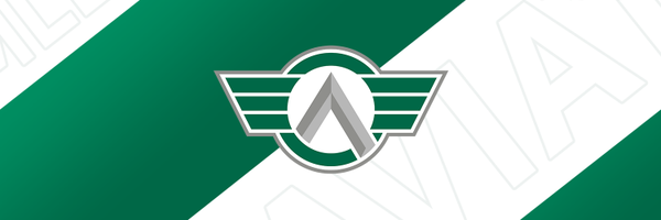 AviatorsMLE Profile Banner