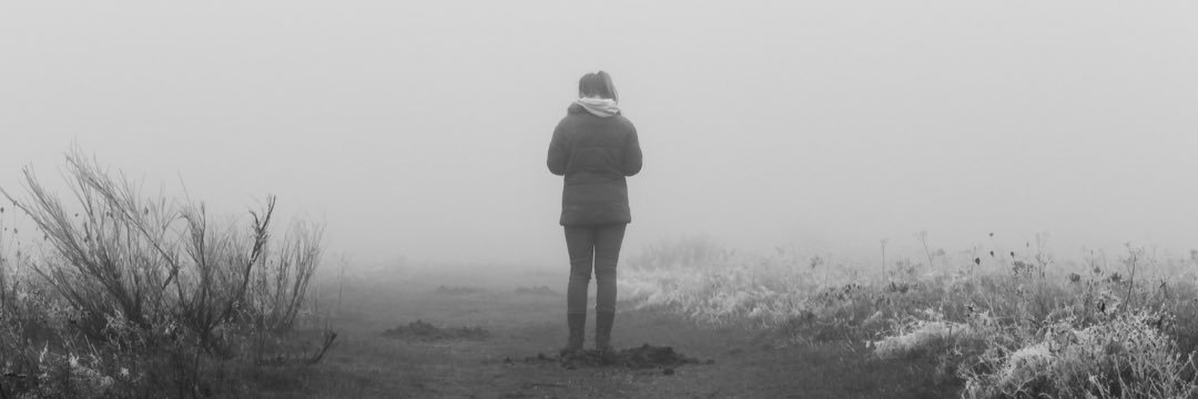 mindmoodmore's profile banner image