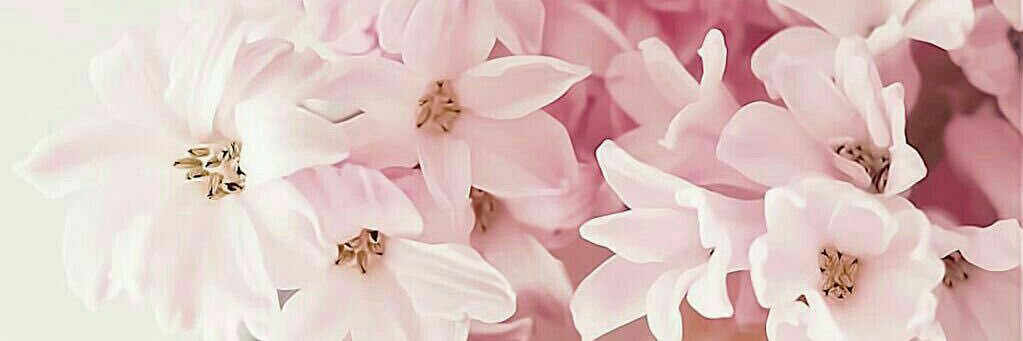 alamal_4's profile banner image