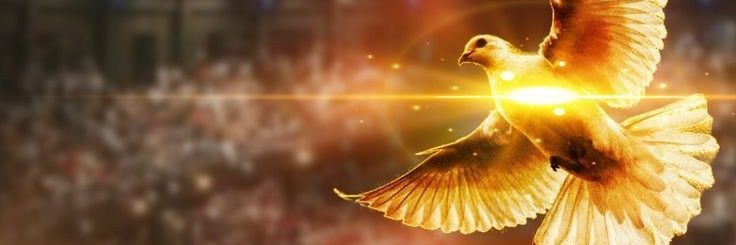 alagbapeteru's profile banner image