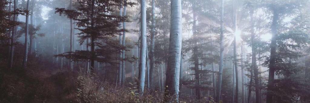 SusanneKroon's profile banner image