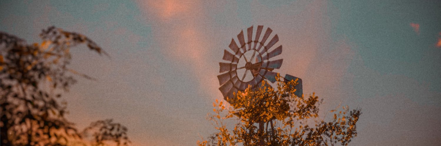 𝙴𝚍𝚎𝚗𝚒𝚊𝙱𝚕𝚞𝚎🌻 banner