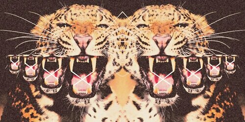 jasmirkaur's profile banner image