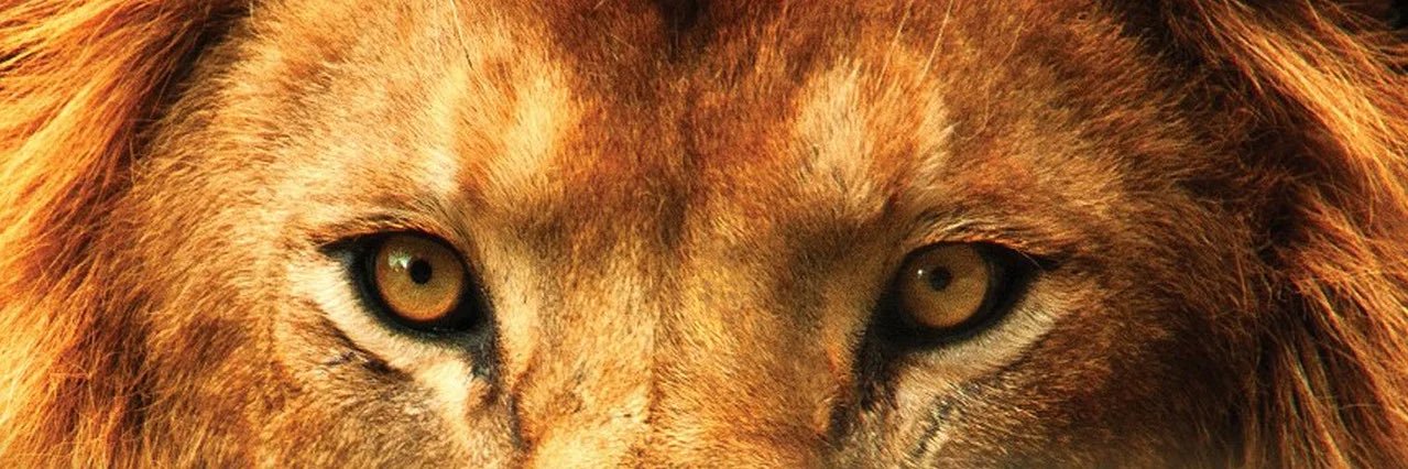 Terrence (Alpha) Gist banner