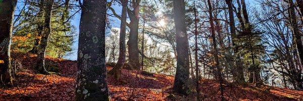 nummenidhuddle Profile Banner